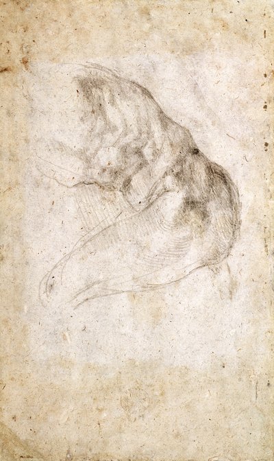 Study for The Creation of Adam (verso) by Michelangelo Buonarroti